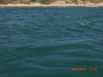 CIMG4540.jpg