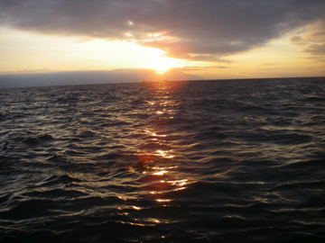 IMGP0754.jpg