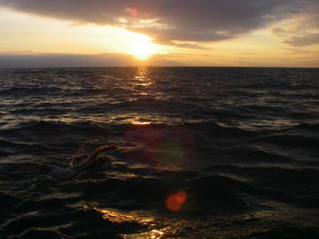 IMGP0759.jpg