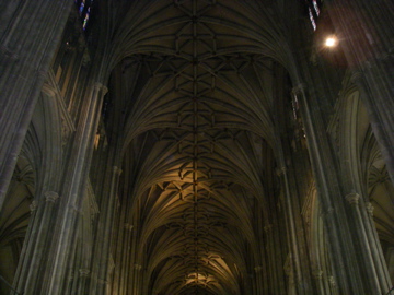 IMGP0864.jpg