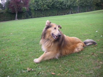 IMGP0956.jpg