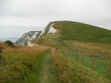 SANY0210.jpg
